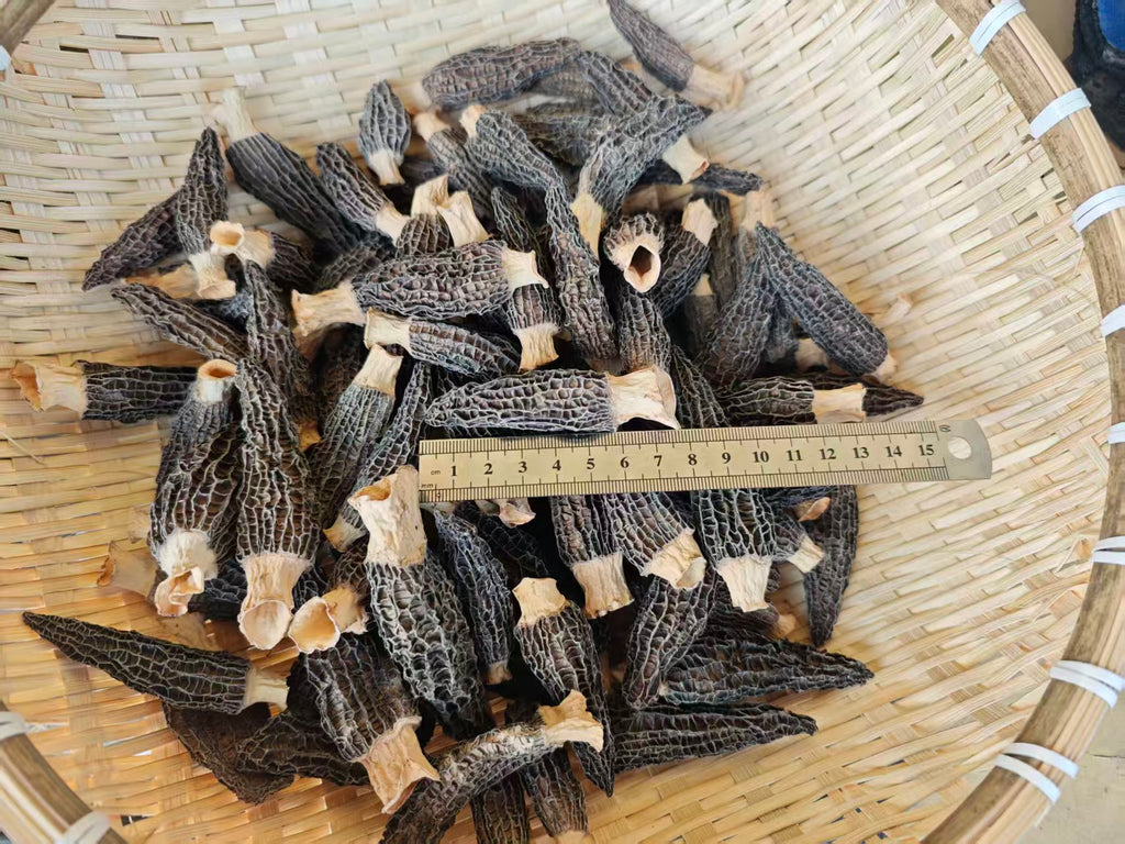 Premium Dried Morel Mushrooms (50g)