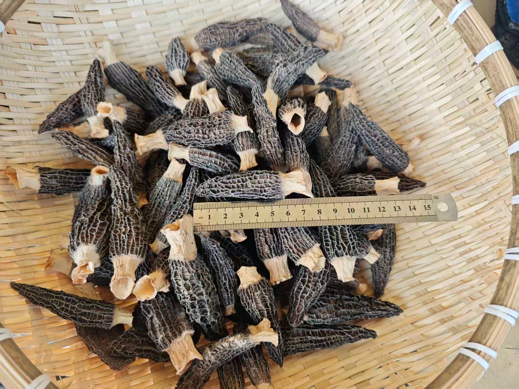 Premium Dried Morel Mushrooms (50g)