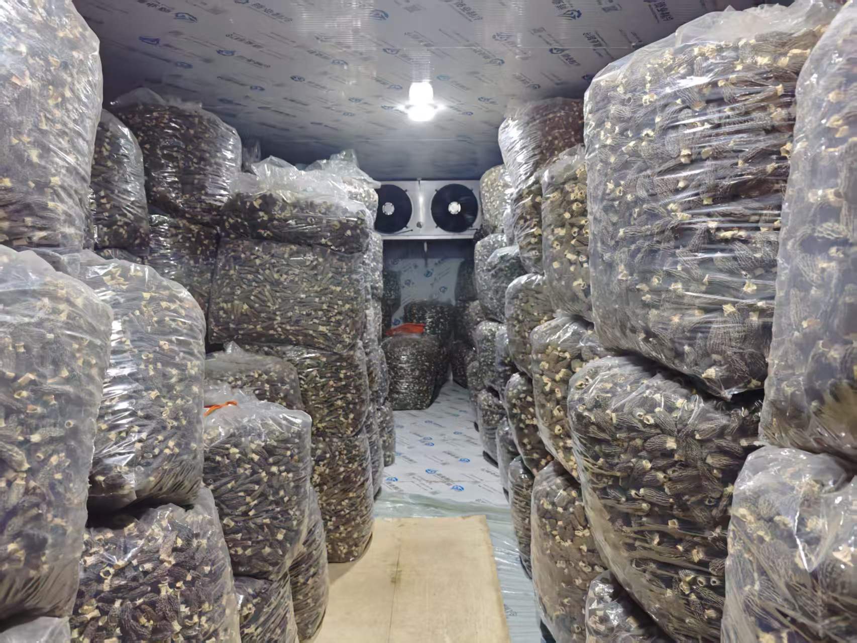 Premium Dried Morel Mushrooms (50g)