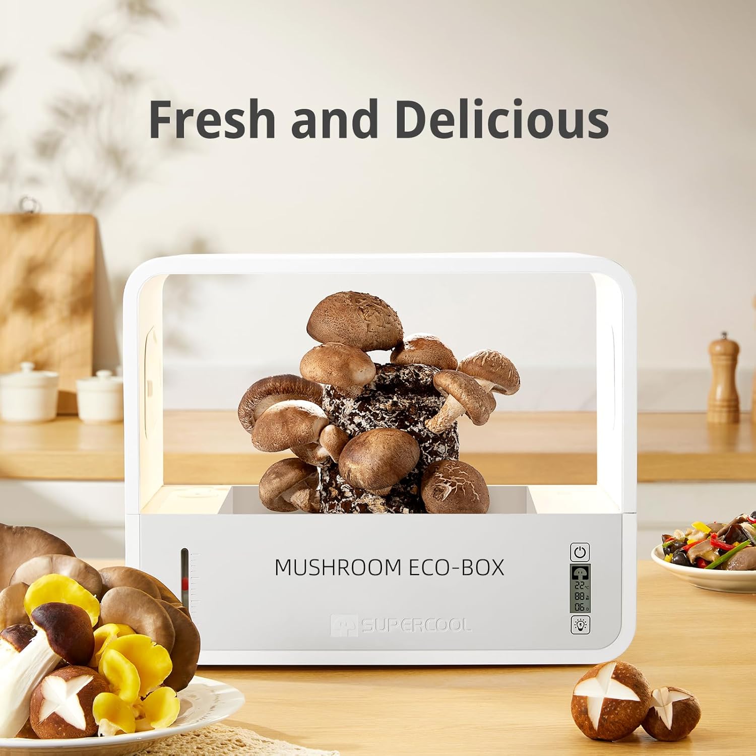 Smart Mushroom Growing Box,Mushroom Monotub Growing Kit with Grow Light,Indoor Still Air Box for Mushroom Growers