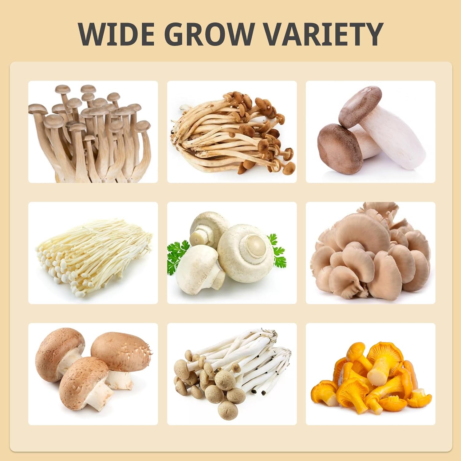 Smart Mushroom Growing Box,Mushroom Monotub Growing Kit with Grow Light,Indoor Still Air Box for Mushroom Growers